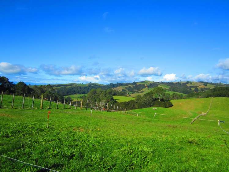 559 Kaiaua Road Mangatangi_19