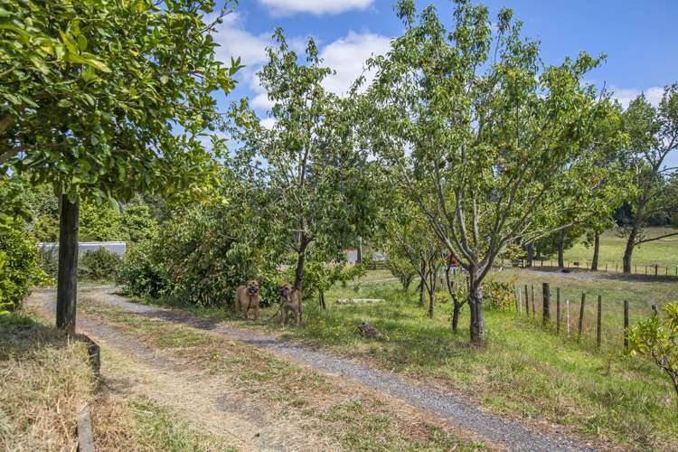 1264 State Highway 1 Hikurangi_16