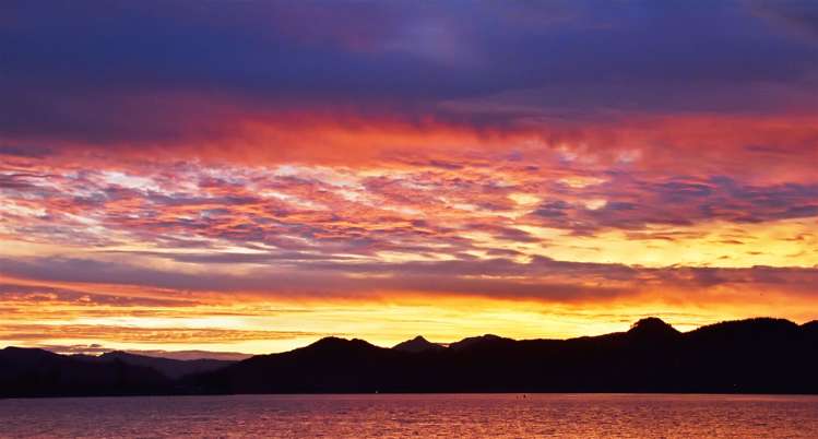 140 Vista Paku Pauanui_32