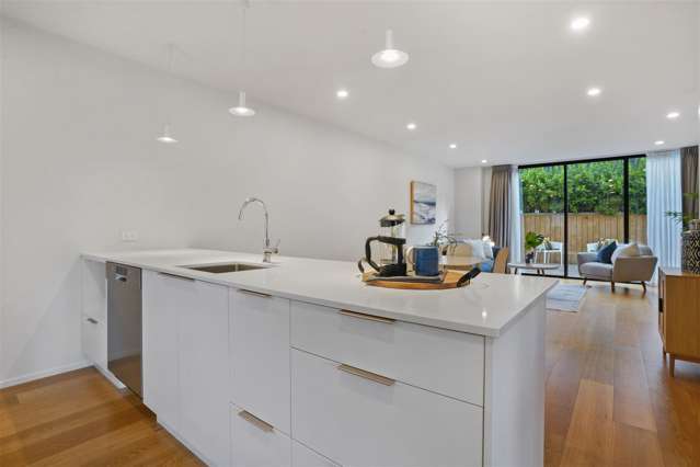 1031b Colombo Street Saint Albans_2