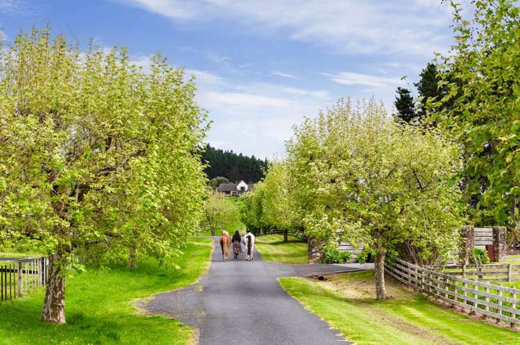 915 Old North Road Waimauku_2