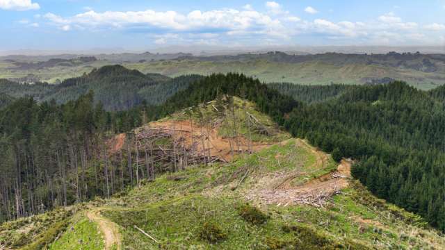 1335 Klondyke Road Port Waikato_1