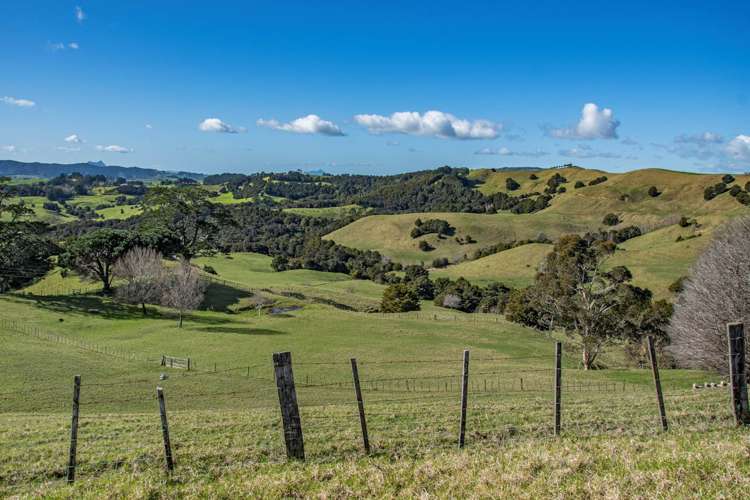 137 Monk Road Mangapai and Surrounds_12