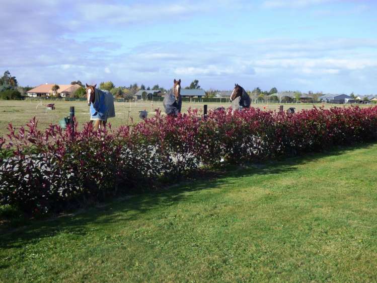 1/153 Bangor Road Darfield_14