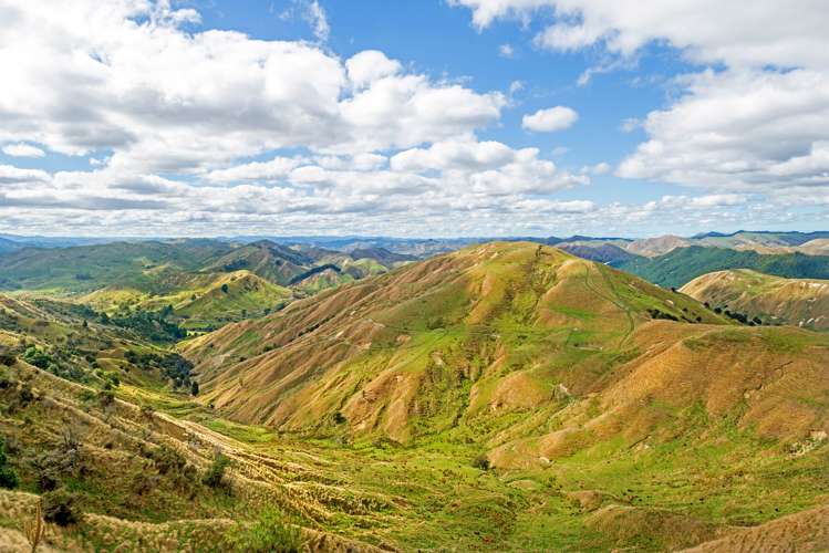 3643 Wharekopae Road Rere_9