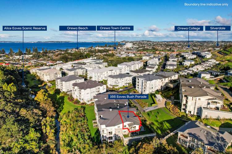 166 Eaves Bush Parade Orewa_18