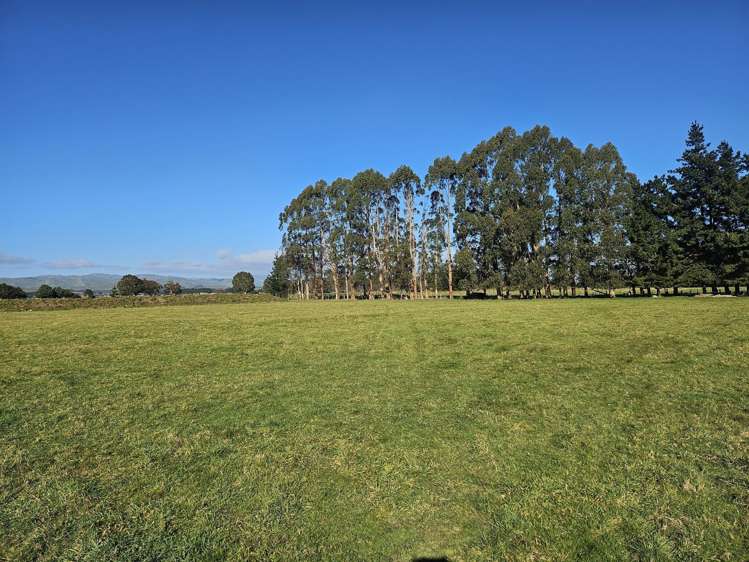 35 Laws Road Dannevirke_25