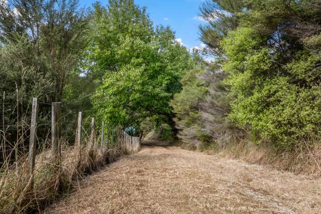 808 Kaipara Hills Road Warkworth_2