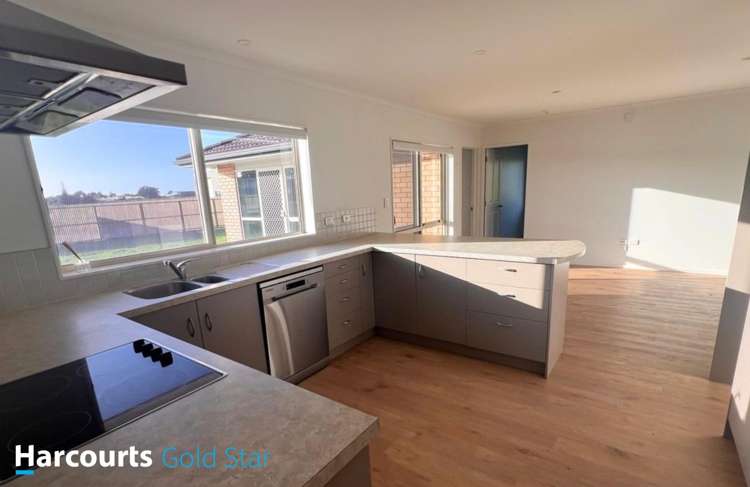 99B Citrus Avenue Waihi Beach_1