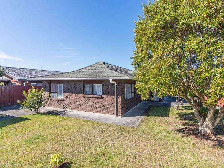 2 Akehurst Avenue New Lynn_11