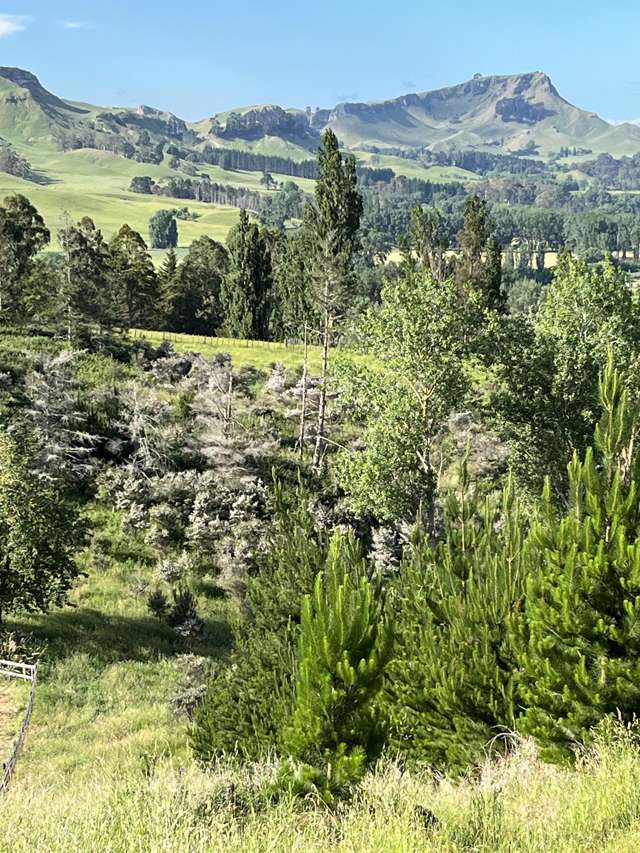 Lot 2, DP 524856, Raratu Road Kahuranaki_2