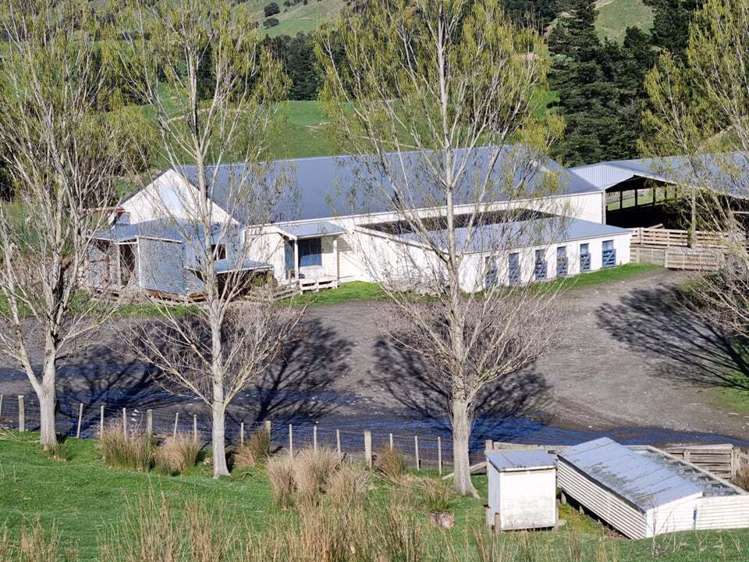 Lot 2/1300 White Rock Road Martinborough_9