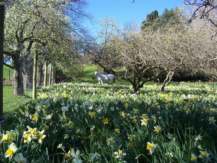 169 Mcnamaras Road Waimate_18