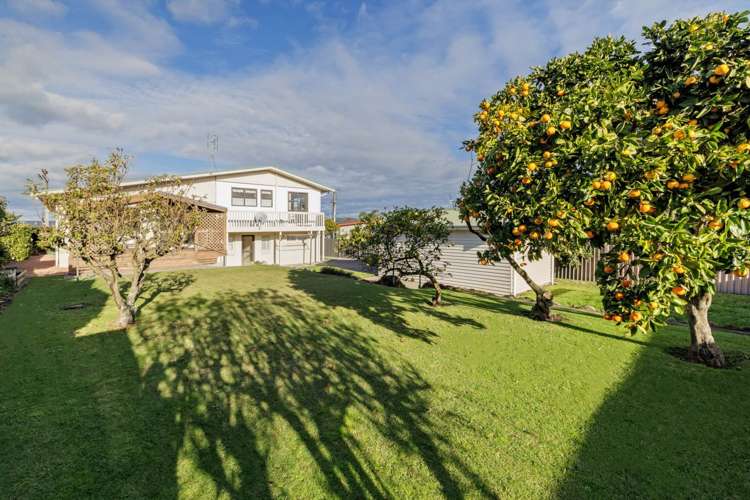 45 Concord Avenue Mt Maunganui_5