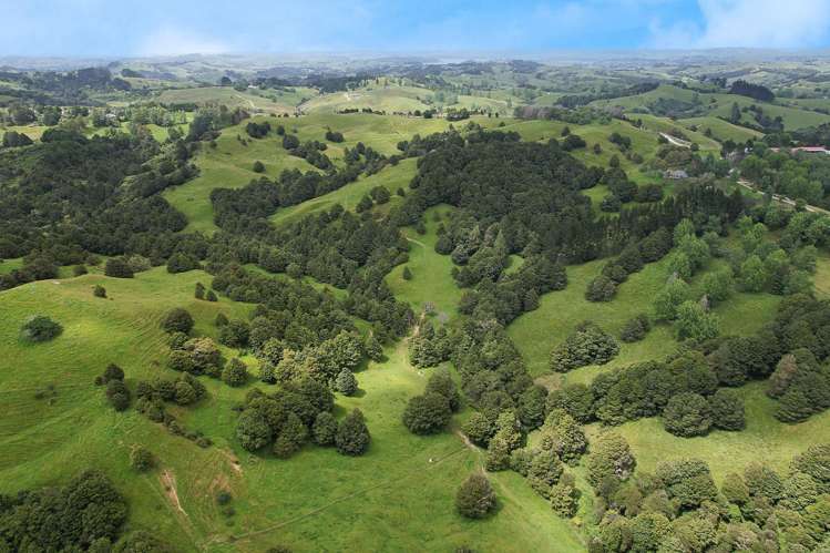 Lot 2/347 Porter Road Paparoa_12