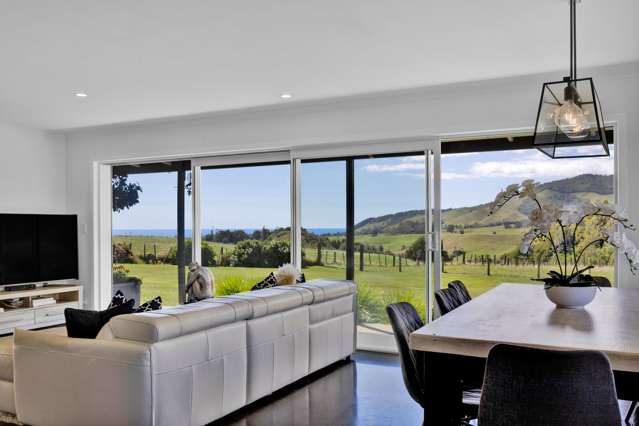 203 Upper Timaru Road Pitone_3