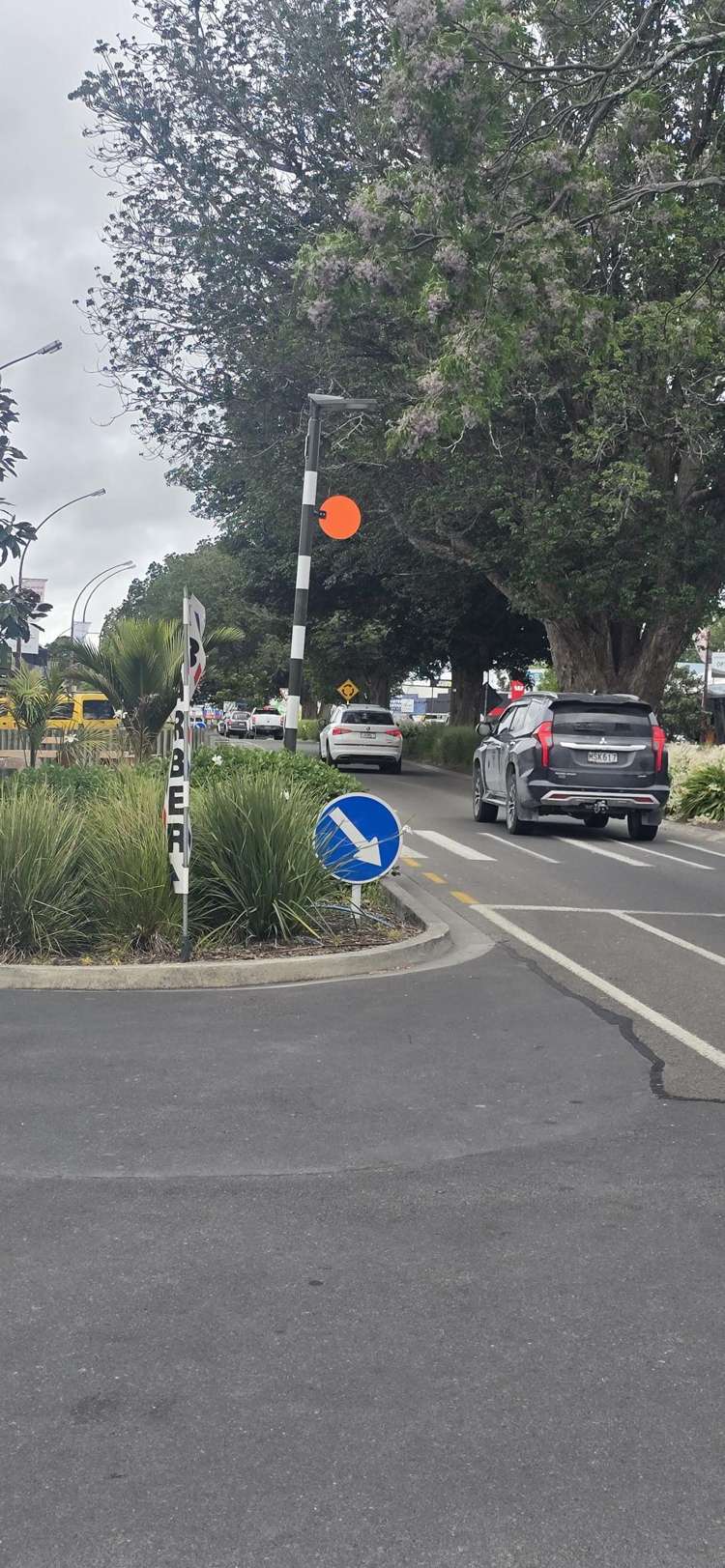 50B Moehau Street Te Puke_12