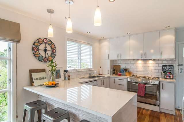 88 Miramar North Road Miramar_2