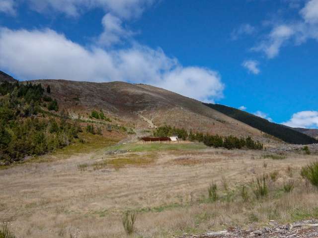 State Highway 63 Wairau Valley_2