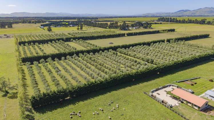 206 Mount Brown Road Broomfield_39