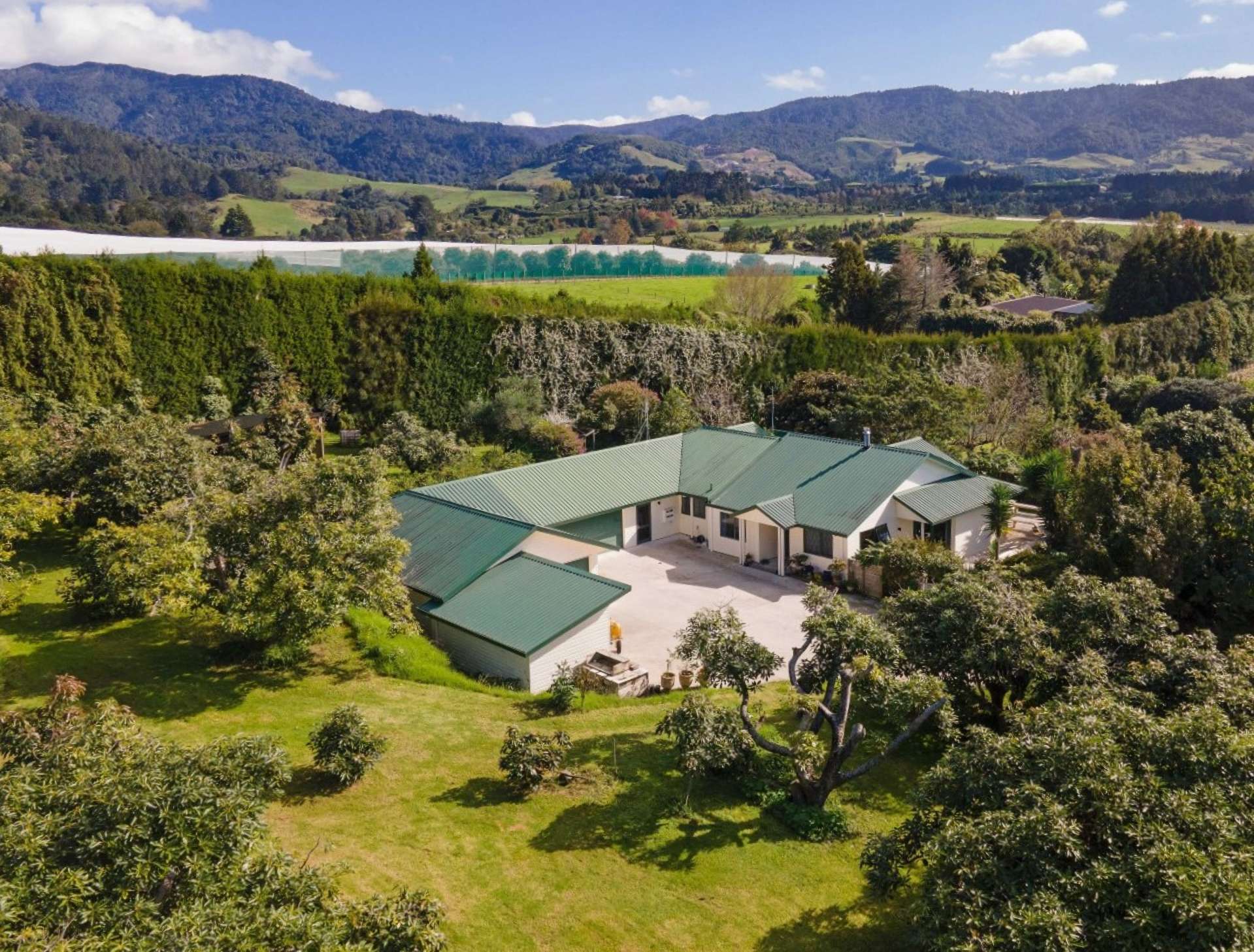 263A Rea Road Katikati Western Bay Of Plenty Rural Property For