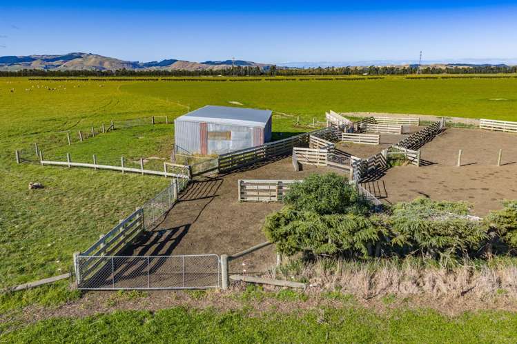 537 Mount Brown Road Broomfield_17