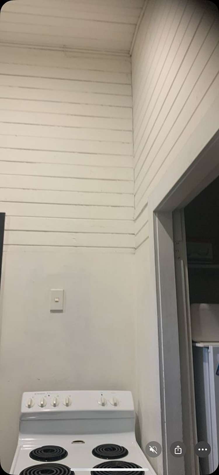 119 Cuba Street Palmerston North_2