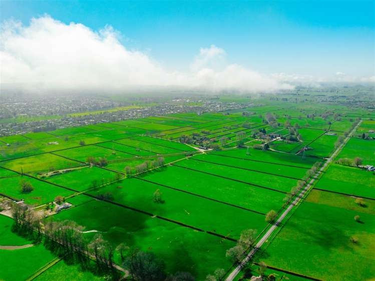 122 Rotoorangi Road Cambridge_19