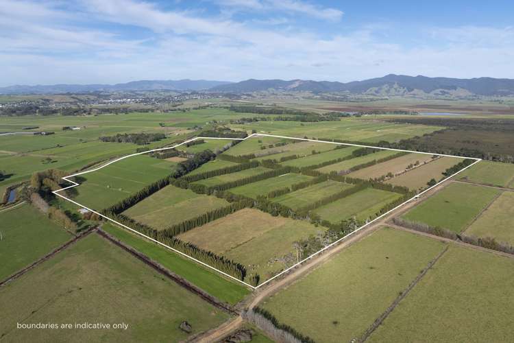 782 Gill Road Kaitaia_10