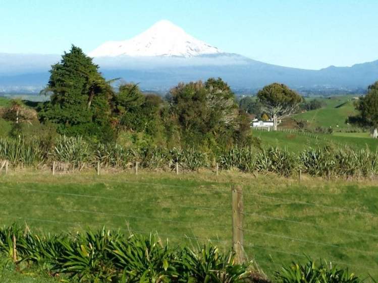 103 Kupara Road Ratapiko_10