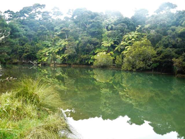 Coastal Kiwi Living