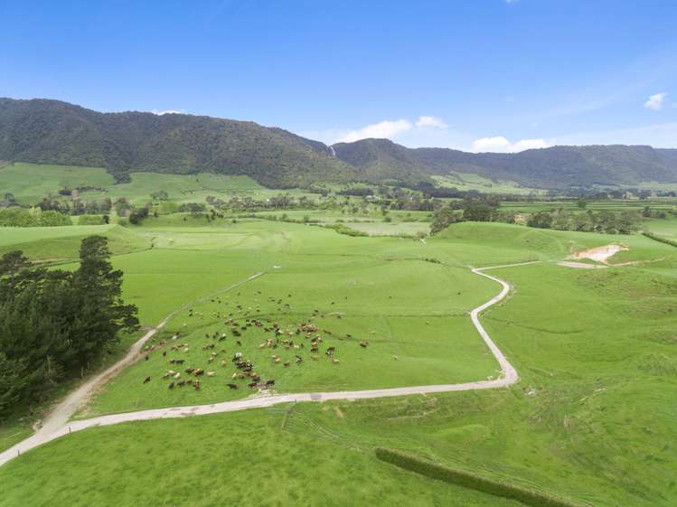 1084 Tower Road Turangaomoana_8