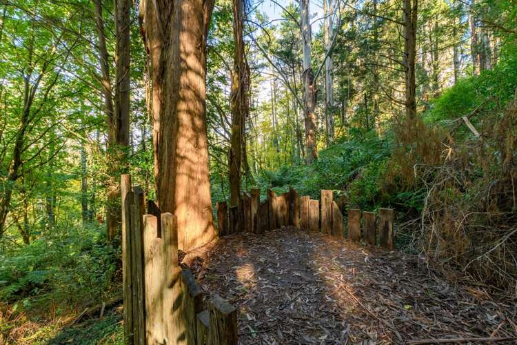 125 Boscabel Drive Ohauiti_6