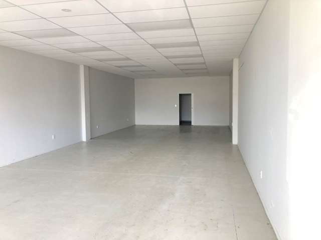 Unit 1B/84 Mokoia Road Birkenhead_1