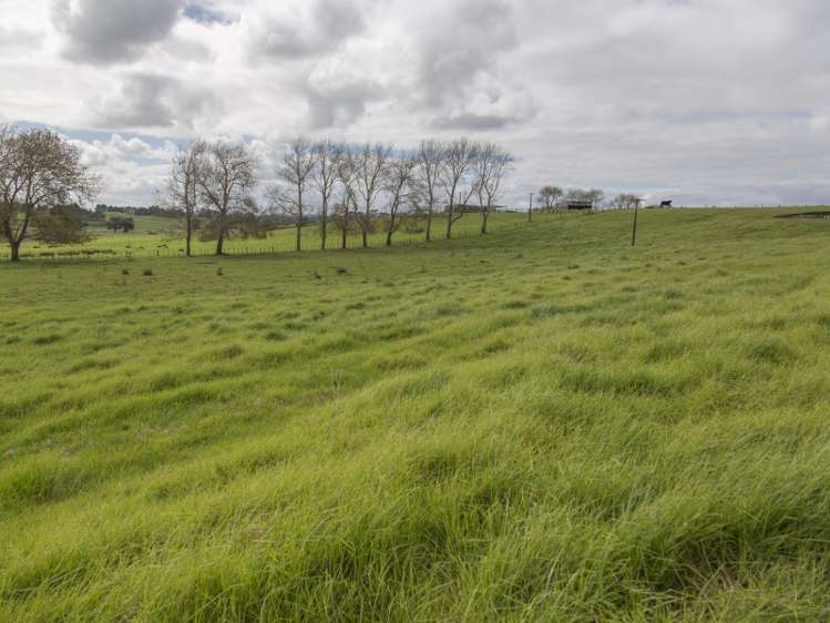 108 Baylys Coast Road Dargaville_14