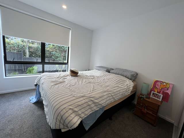 3/5 Arron Street Ellerslie_4