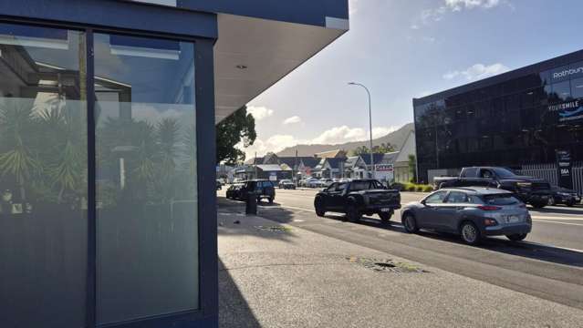 141 Bank Street Regent_1