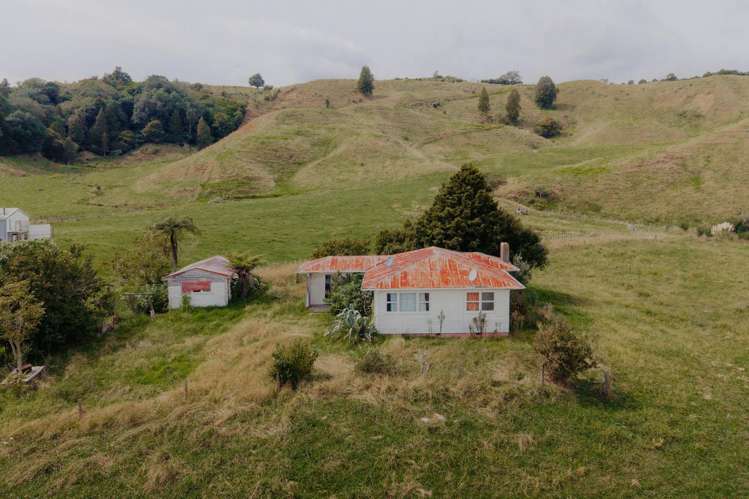 137 Matchitt Road Opotiki Surrounds_12