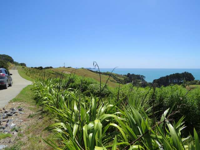 1594 Colville Road Coromandel_2