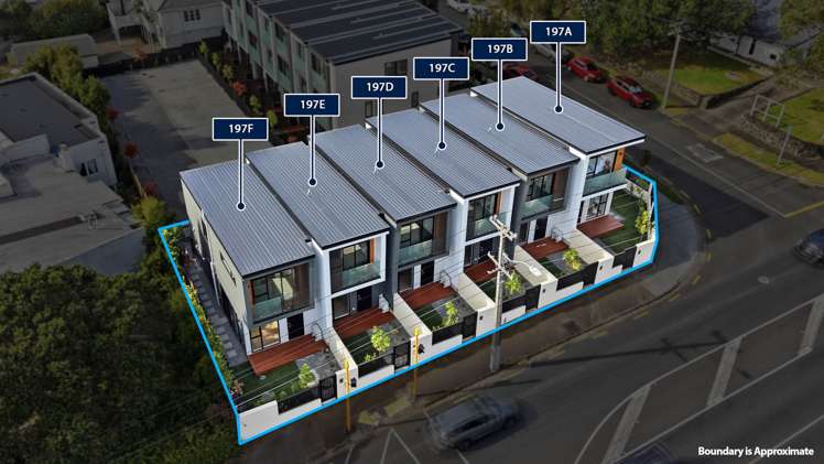 197B Campbell Road Greenlane_31