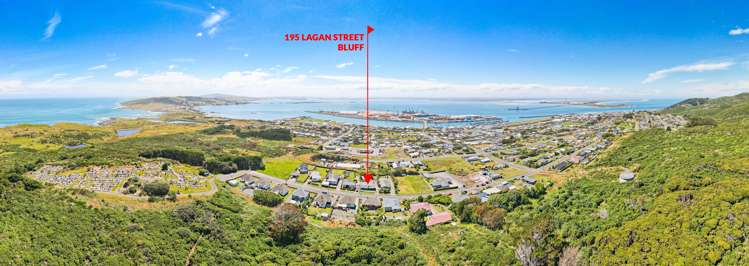 195 Lagan Street Bluff_24