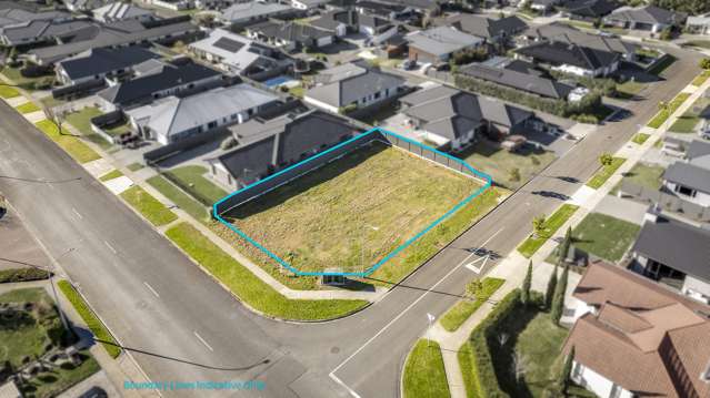250 Guppy Road Taradale_4