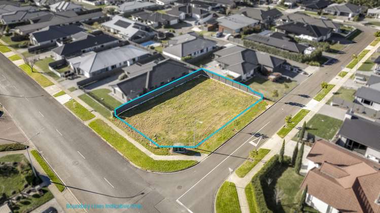 250 Guppy Road Taradale_4