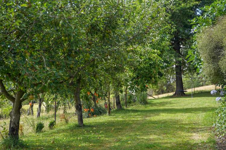 281 Tadmor-Bushend Road Tapawera_22