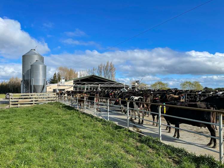 1128 Wyndham Road Wyndham_16