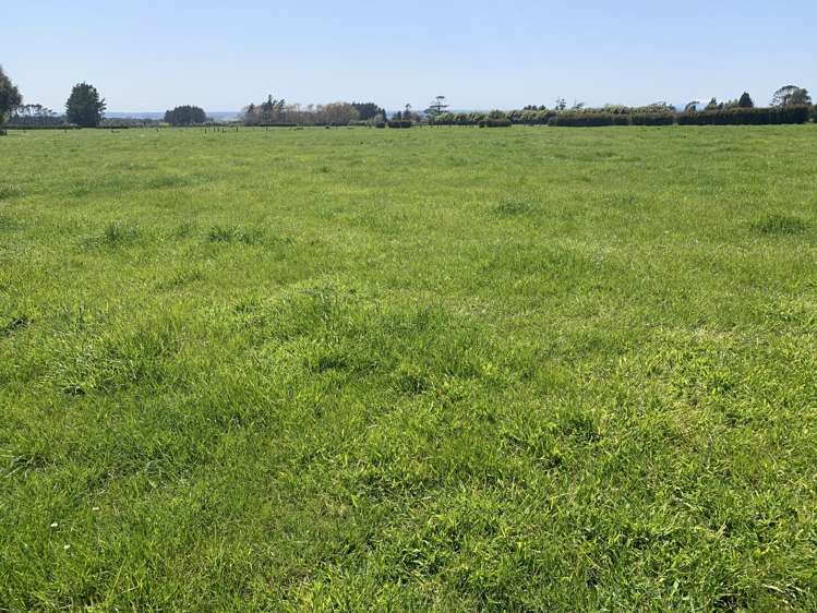 2442 Mountain Road Tariki_22