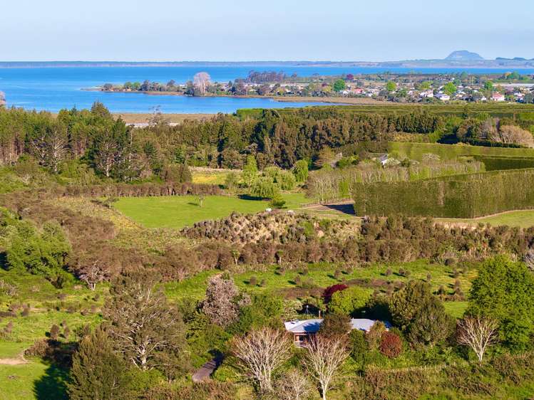 74B Willoughby Road Katikati_9