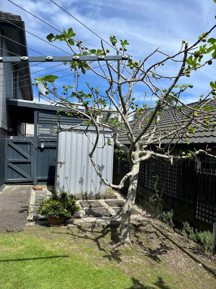 29b West Coast Road Glen Eden_15