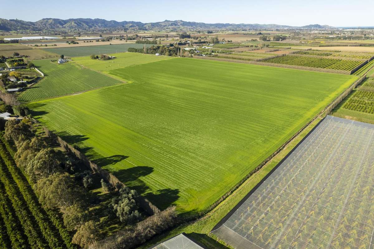 363 Matawai Road_3