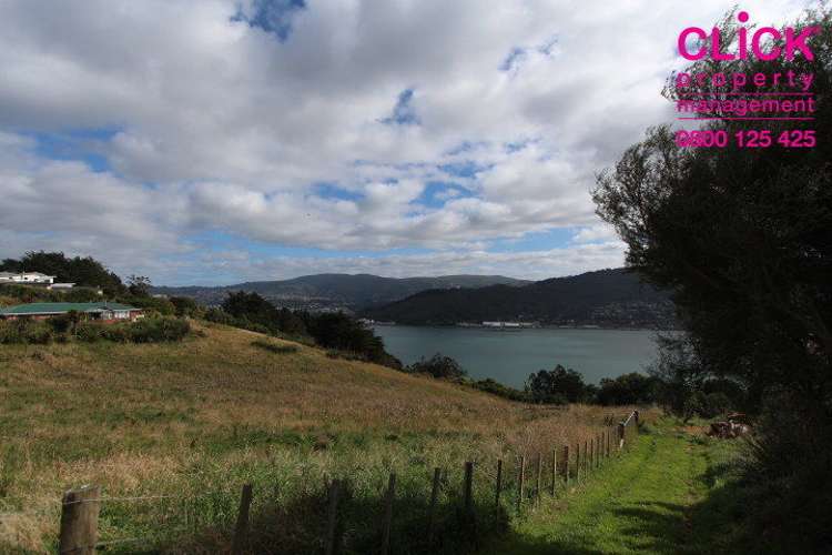 445 Highcliff Road Highcliff_15